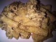 P�tes au pesto de noisettes et champignons