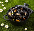 Cocotte de moules � la Bi�re Pelforth de Printemps
