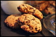 Cookies aux flocons d avoine torr�fi�s