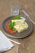 Terrine de jardini�re de l�gumes
