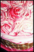 Charlotte � la framboise et aux abricots