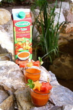 Gazpacho Alvalle et ses brochettes de fruits