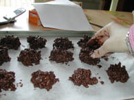 Roses des sables : Etape 5