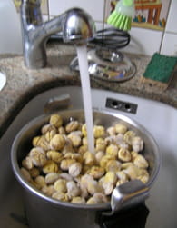 Crème de marrons maison : Etape 1