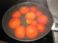 Verrines de tomates fraîches, basilic et coriandre : Etape 1