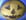 Masque Halloween au chocolat