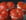 Tomates farcies au ch�vre frais