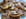 Palmiers choco-noisettes