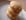 Sabl�s aux noisettes