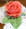 Rose en p�te d amande