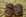 Marrons glac�s express
