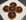 Tartelettes chocolat-cognac