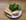 Rillettes de saumon fum� au fromage frais