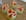 Rougail d avocat au crabe