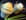 Iles flottantes sal�es � la cr�me d asperges