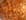 Dombr�s aux crevettes