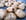 Cookies chocolat, noisettes et pralin