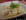Gnocchis persill�s, sauce gorgonzola