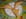 Croustillant de fromage de ch�vre et miel