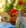 Cake m�diterran�en