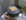 Cr�pe de froment