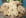 Shortbreads aux p�pites de chocolat