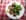 Croquettes de crabe