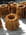 Canel�s au pain d �pices