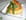 Feuillet�s d asperges au bacon