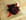 Compot�e de fruits rouges et glace