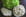 Rillettes de thon l�g�re au basilic