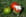 Duo de tomates et concass�e de feta