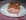 Terrine de canard