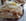 Bugnes 