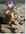 Sabl�s de No�l aux noisettes