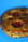Galette lunaire aux pralines roses