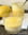 Petites cr�mes citron-romarin, nappage fa�on lemon curd