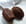Madeleines au chocolat noir et au miel