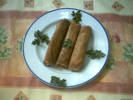 Bricks marocaines