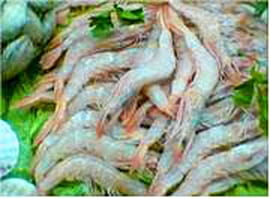 Gambas � la cr�me et S�millon Chardonnay