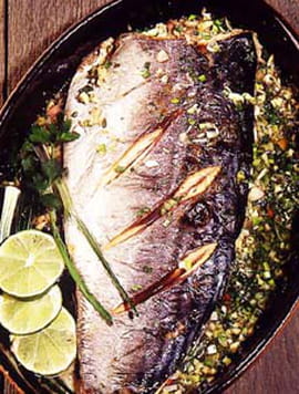 Bonite grill�e