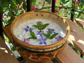 Tzatziki