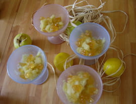 Sorbet pomme avec morceaux glac�s au citron