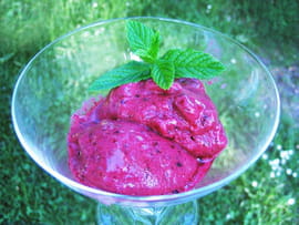Sorbet aux fruits rouges express