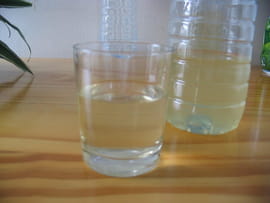 Jus de fleurs de sureau