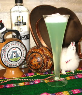 Pisco Sour