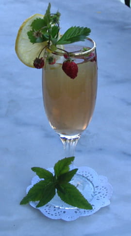 Fraisilia