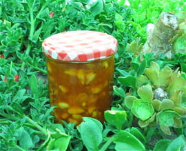 Confiture d abricots aux amandes