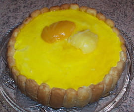 Charlotte � la mousse de fruits