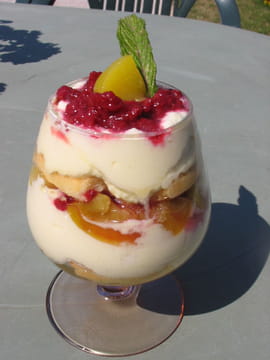 Tiramisu fra�cheur aux fruits